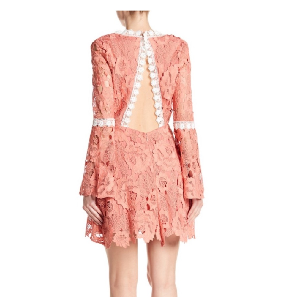 Alexia Admor Ruffled Long Sleeve Lace Dress (S)NWT - Picture 8 of 8